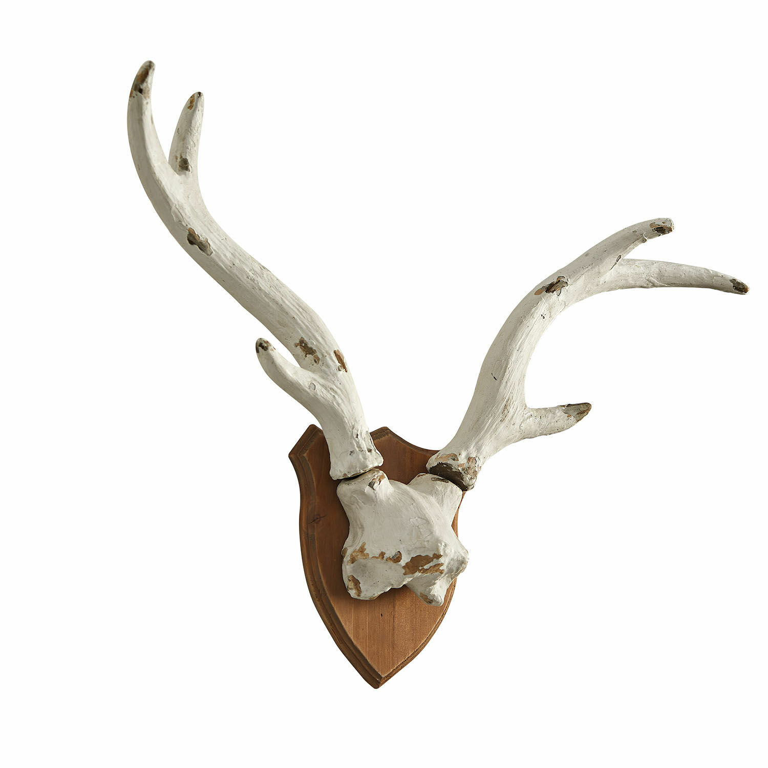 Bois de cerf décoratifs Talim Bois de cerf décoratif blanc sur plaque en bois pour décoration intérieure rustique