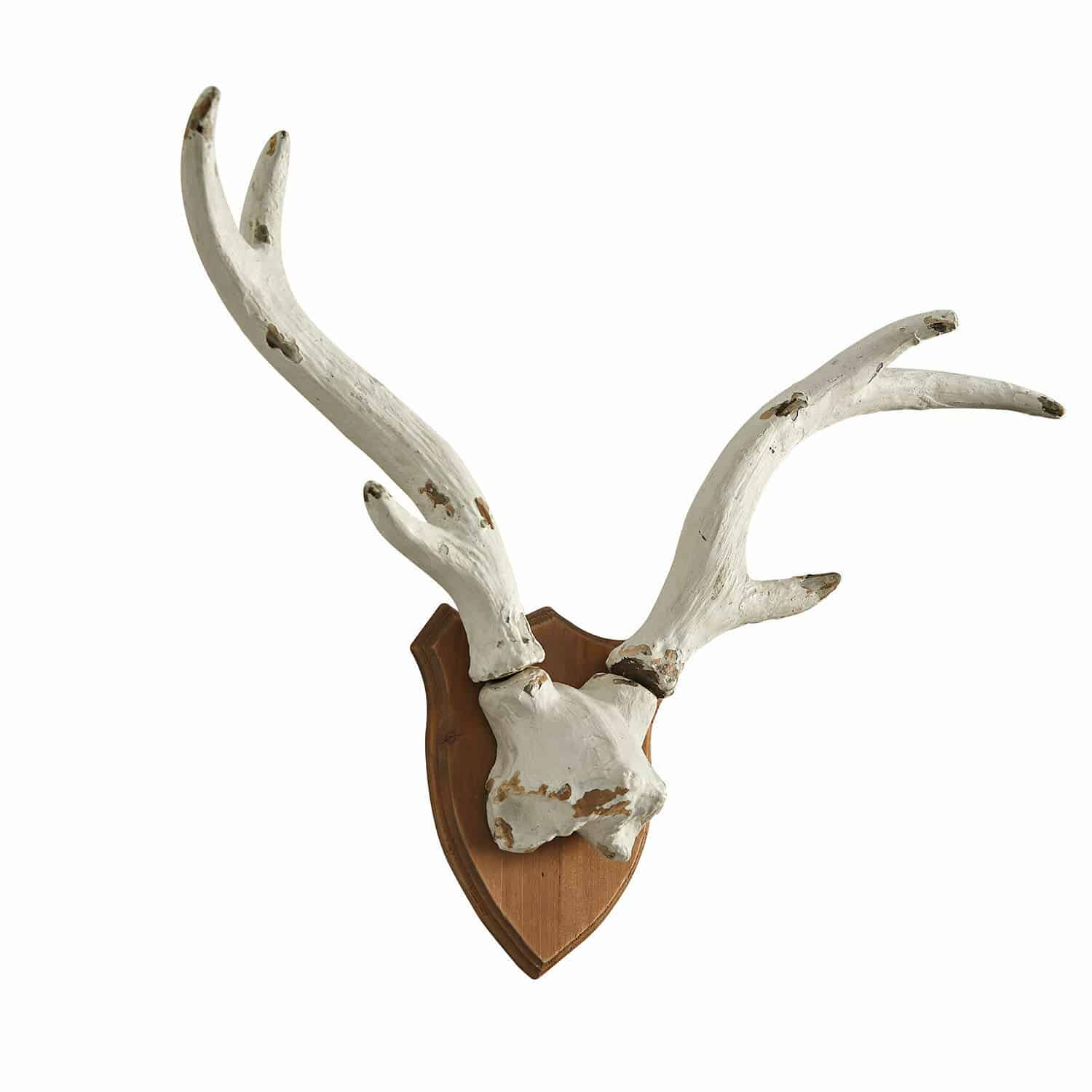 Siergewei Talim Decoratieve witte gewei op houten plaat voor rustieke interieurdecoratie