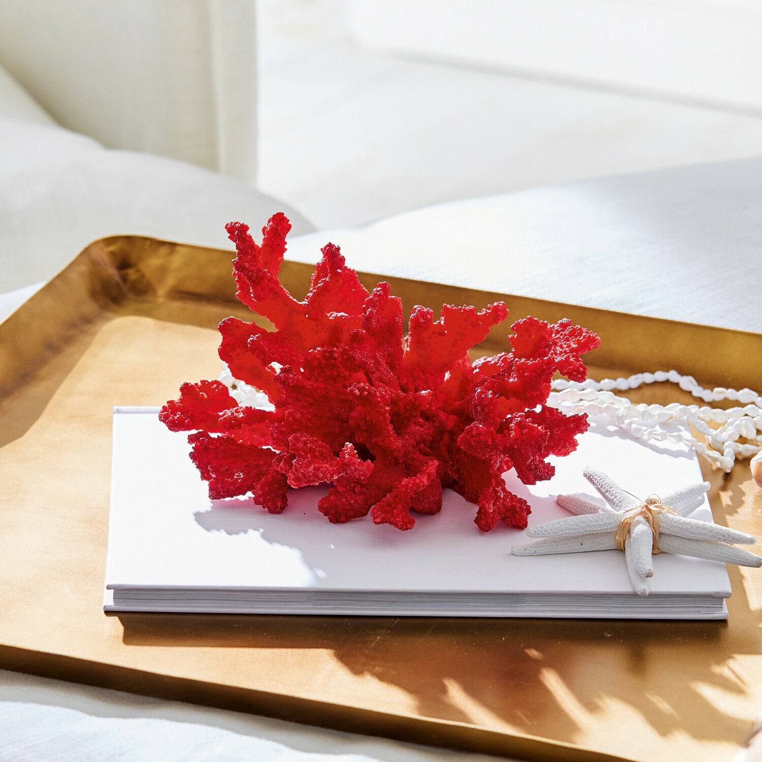 Corail décoratif Reddish