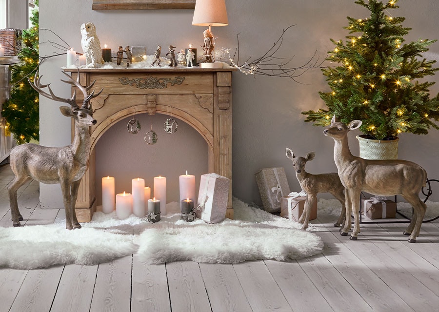 Betoverend winterbos