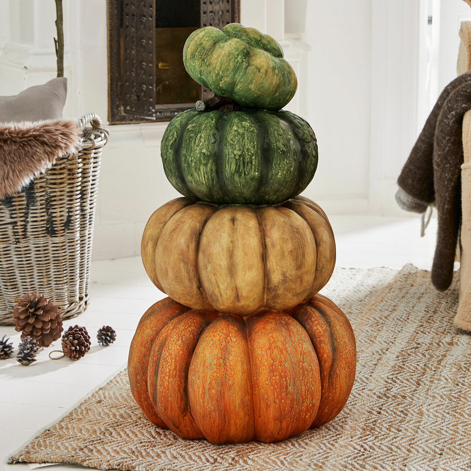 Citrouilles décoratives Jensen