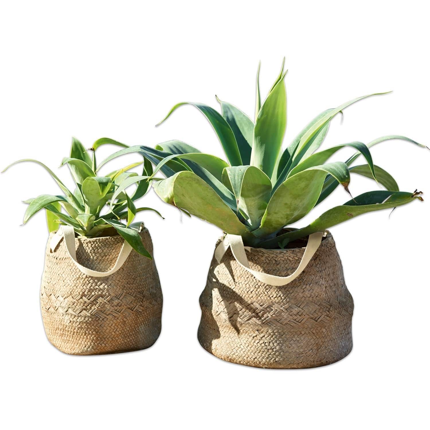 Lot de 2 cache-pots Mandella