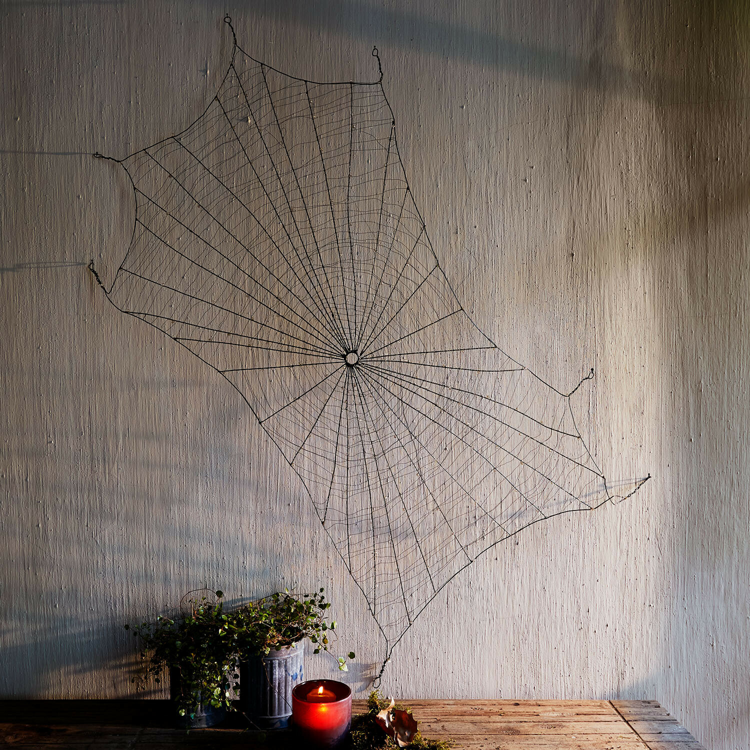 Decoratief spinnenweb Vexilnor