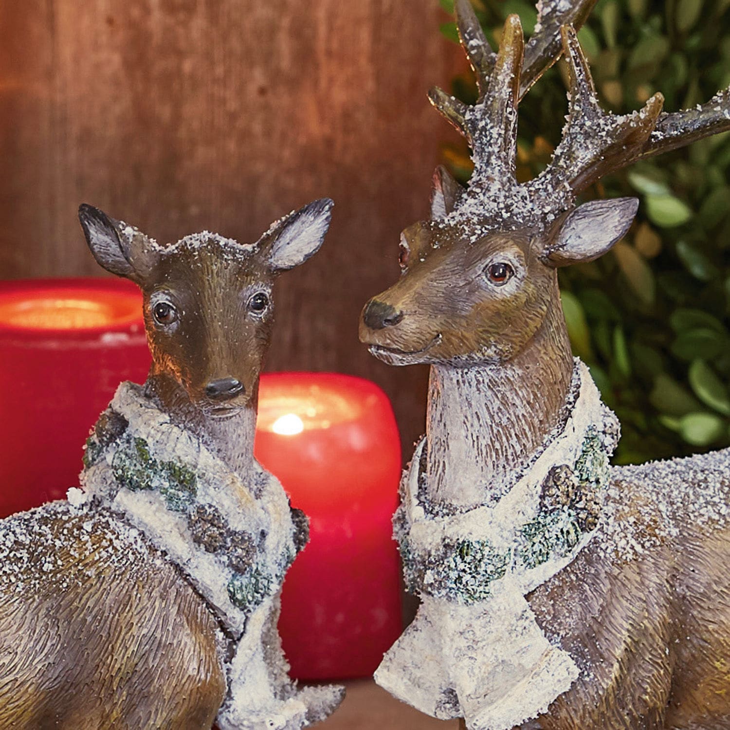 Cerf et chevreuil Alanga