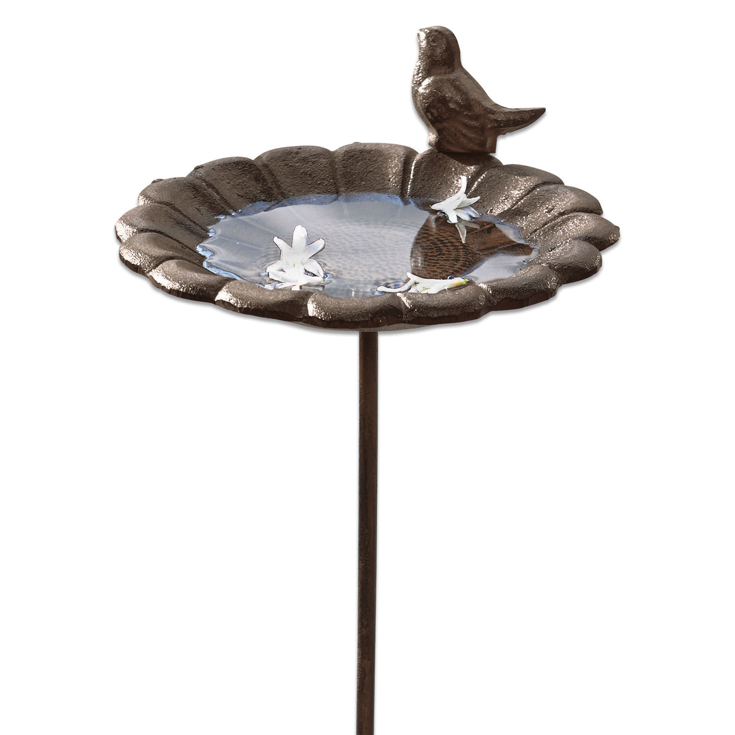 Abreuvoir Finch Abreuvoir décoratif en métal brun avec oiseau sculpté et bassin pour eau pour jardin