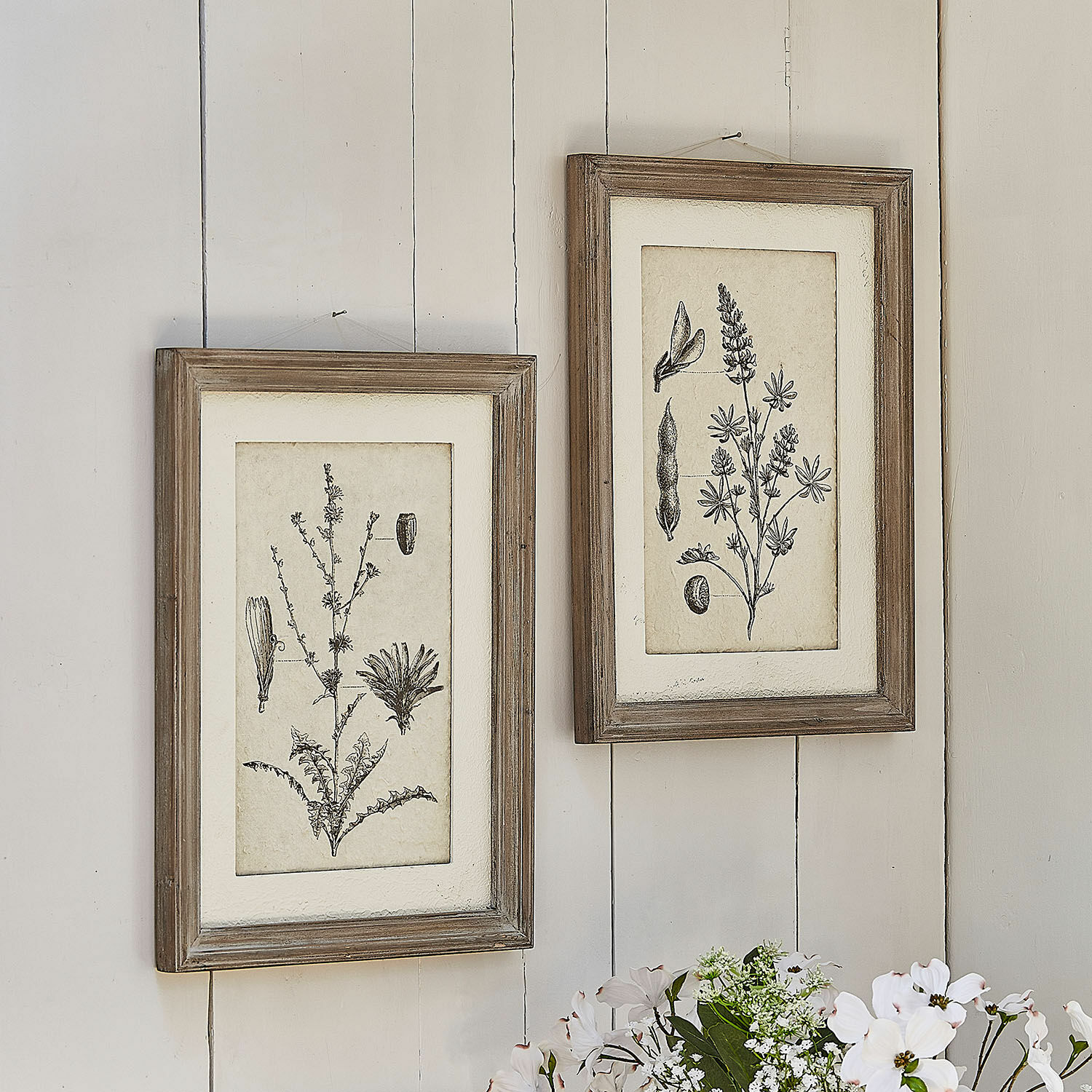 Schilderij set van 2 Stanbury Twee rustieke houten lijsten met zwart-witte botanische tekeningen aan de muur, wanddecoratie