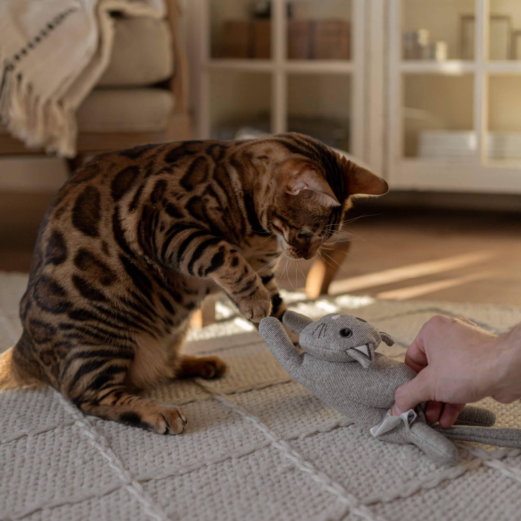 Chat bengal marron jouant avec une peluche grise sur un tapis clair dans un salon lumineux