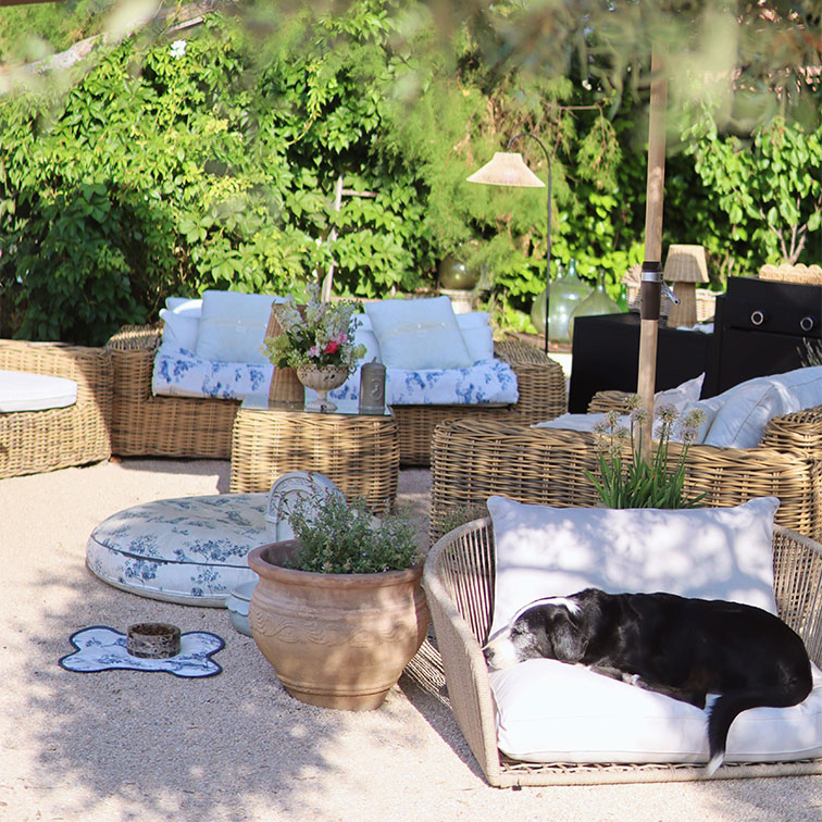 Mobilier de jardin en rotin naturel avec coussins à fleurs bleues, chien noir allongé sur un fauteuil blanc