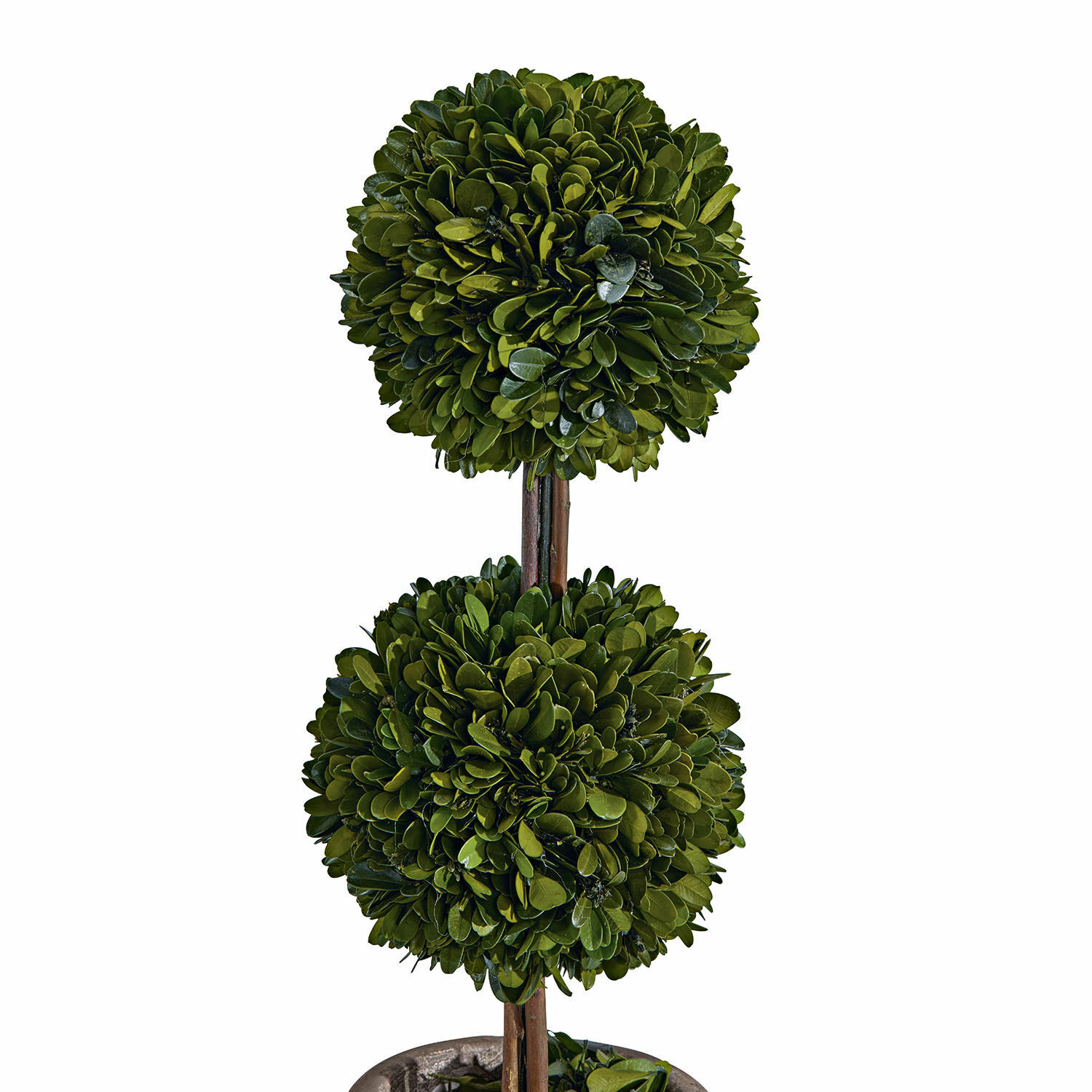 Arbre décoratif Noisse