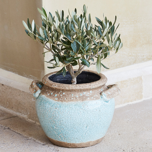 Keramische bloempot in lichtblauw en beige met plant, decoratie voor tuin en huis