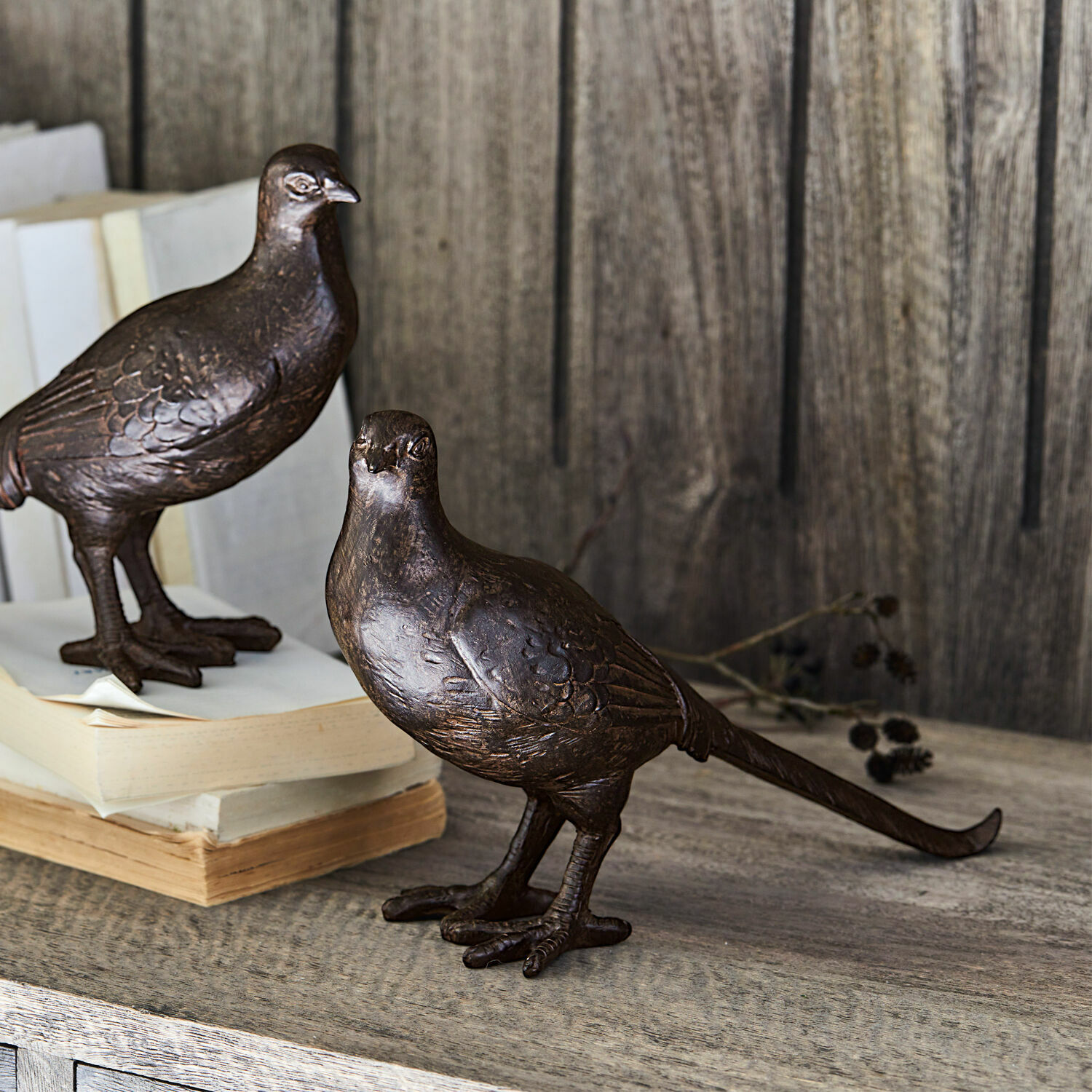 Lot de 2 oiseaux décoratifs Roddy