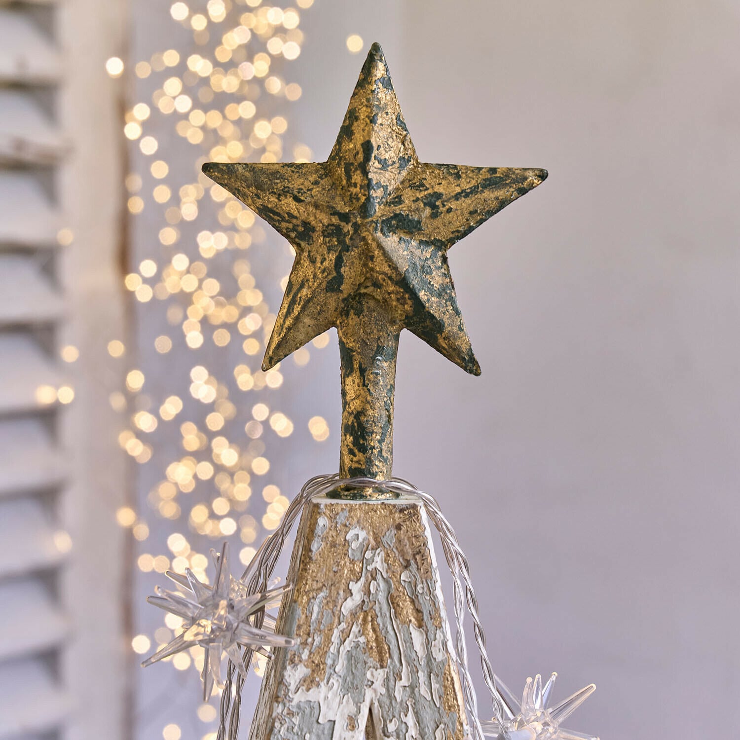 Decoratieve boom Myrnara