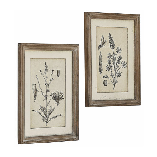 Deux illustrations botaniques rustiques encadrées en bois naturel pour décoration murale