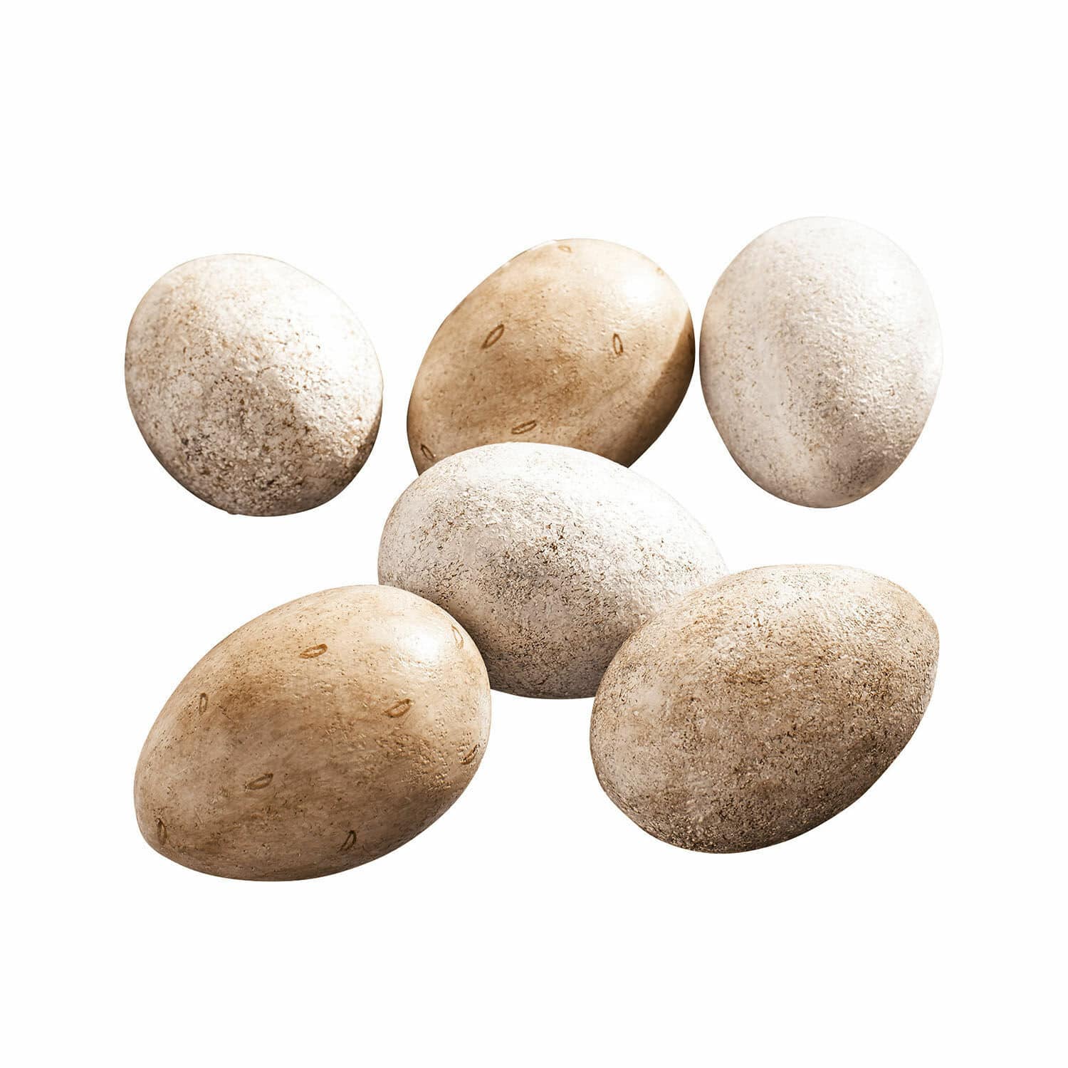 Lot de 6 œufs décoratifs crème avec texture naturelle pour décoration de Pâques élégante
