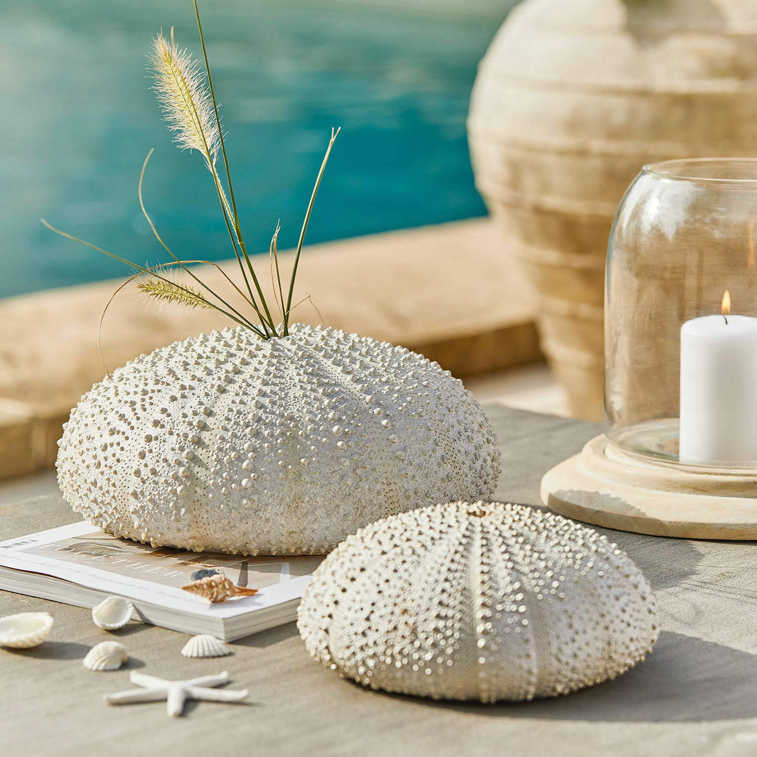 Lot de deux oursins décoratifs Kimbar Coquillages d'oursin blancs décoratifs sur table avec herbes naturelles et bougie, style bord de mer
