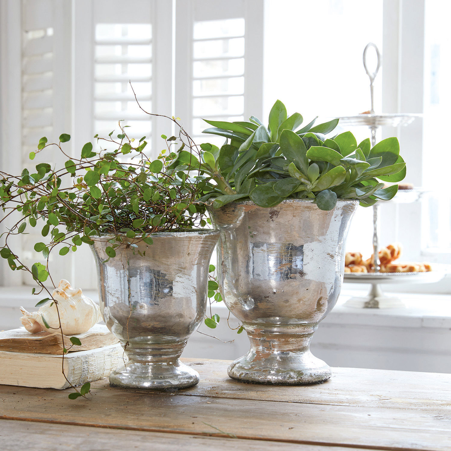 Deux pots en métal argenté avec plantes vertes sur une table en bois dans un intérieur lumineux