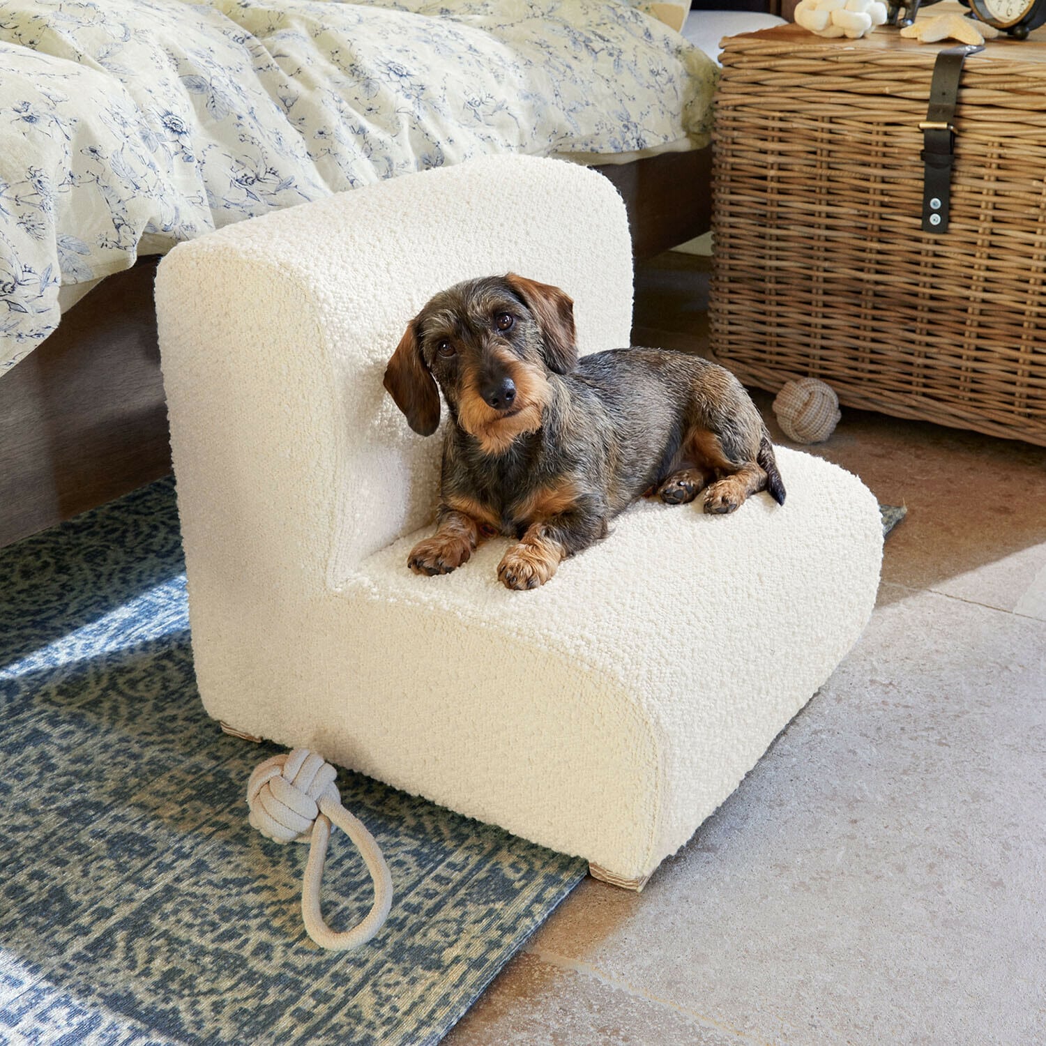 Escalier pour animaux Héloriane Petit teckel allongé sur un fauteuil crème en tissu doux dans une chambre chaleureuse avec tapis