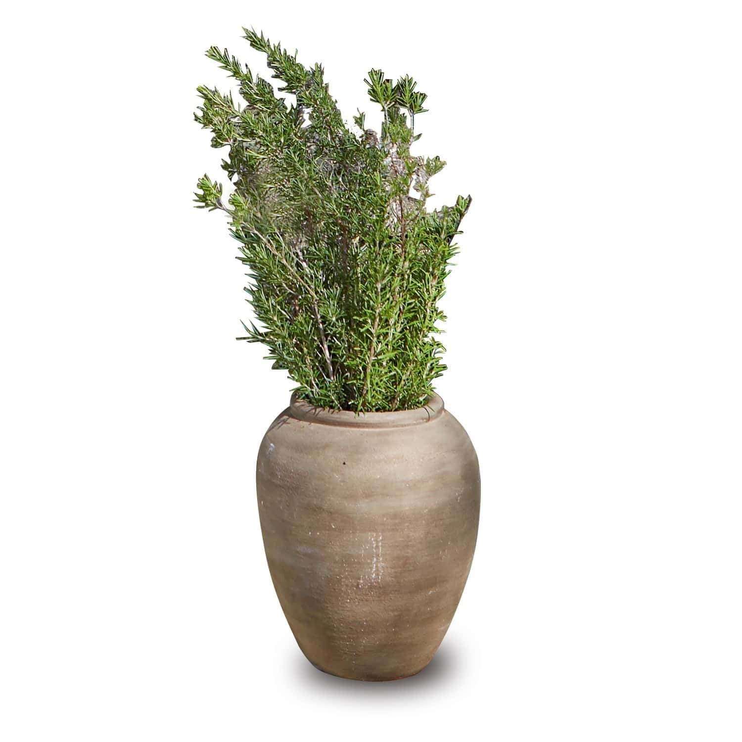 Sierpot Venise