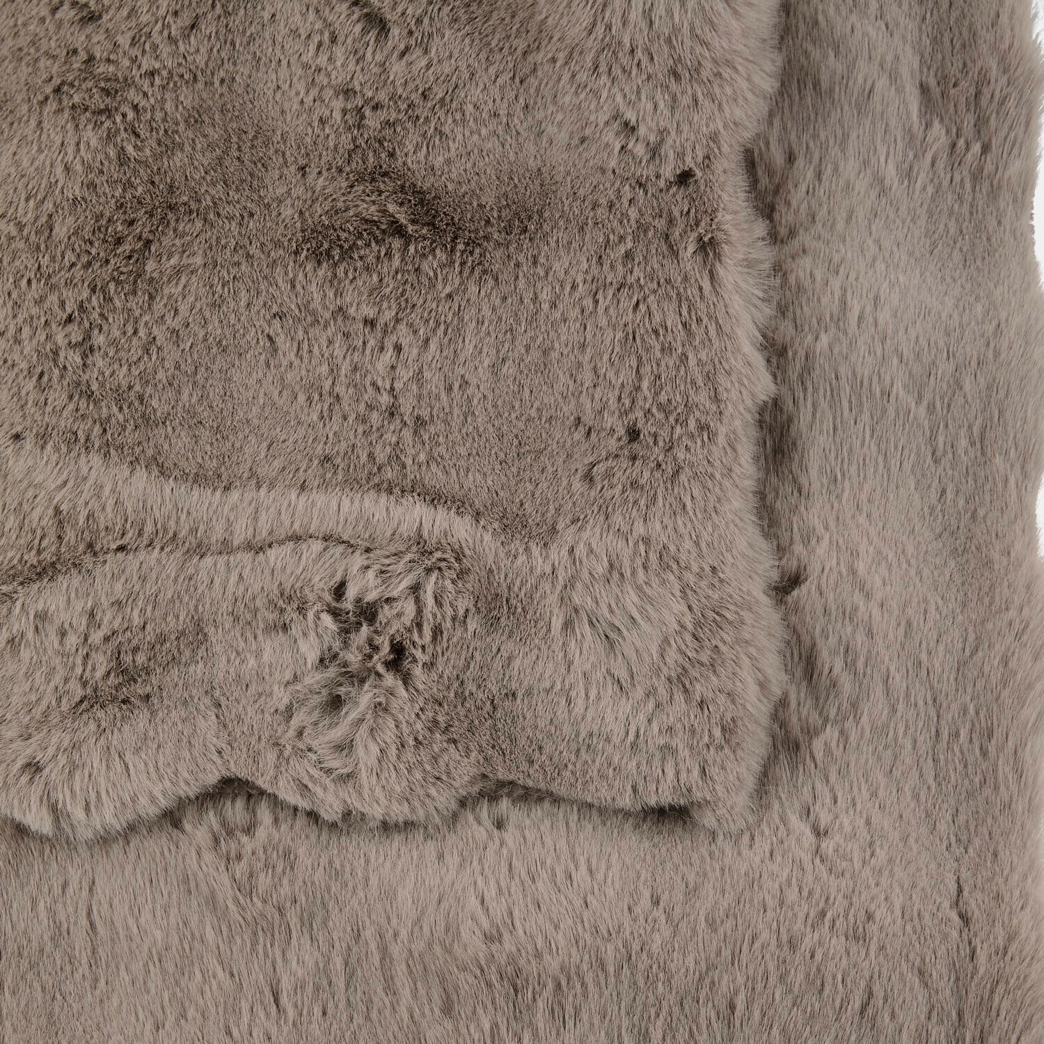 Tafelloper Galvarina