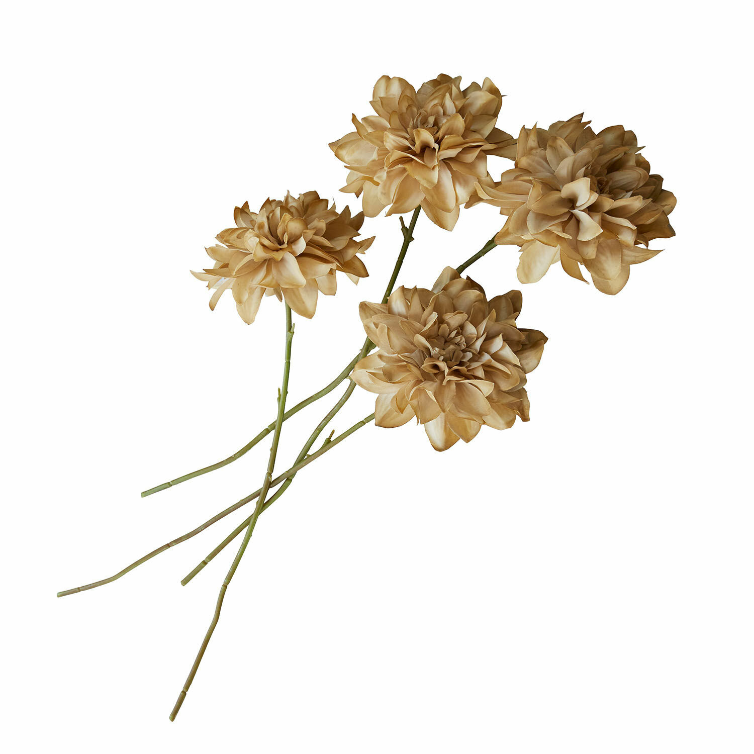 Sierbloem set van 4 Cappellina Decoratieve kunstbloemen in beige met groene stelen voor stijlvolle interieurdecoratie