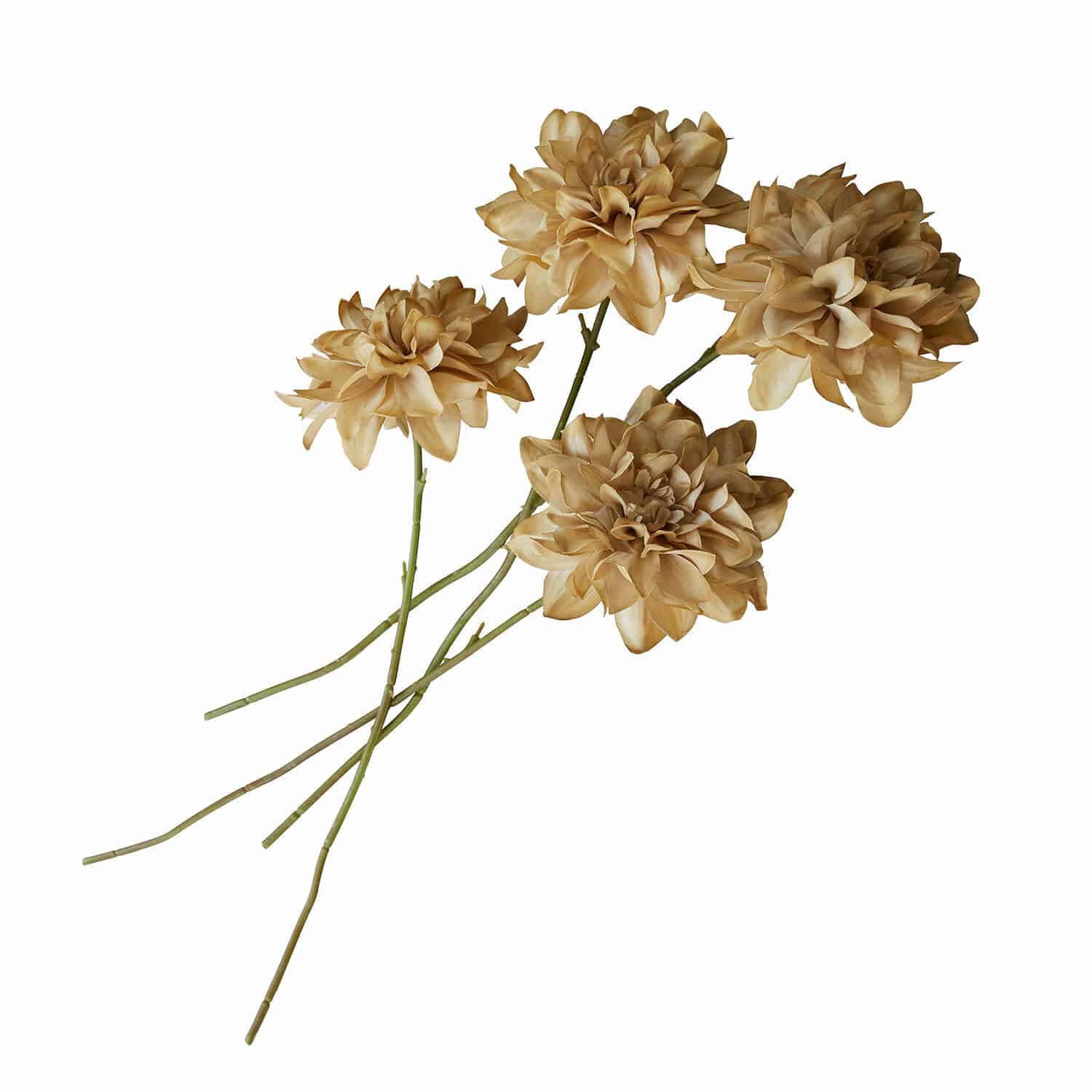 Lot de 4 fleurs décoratives Cappellina