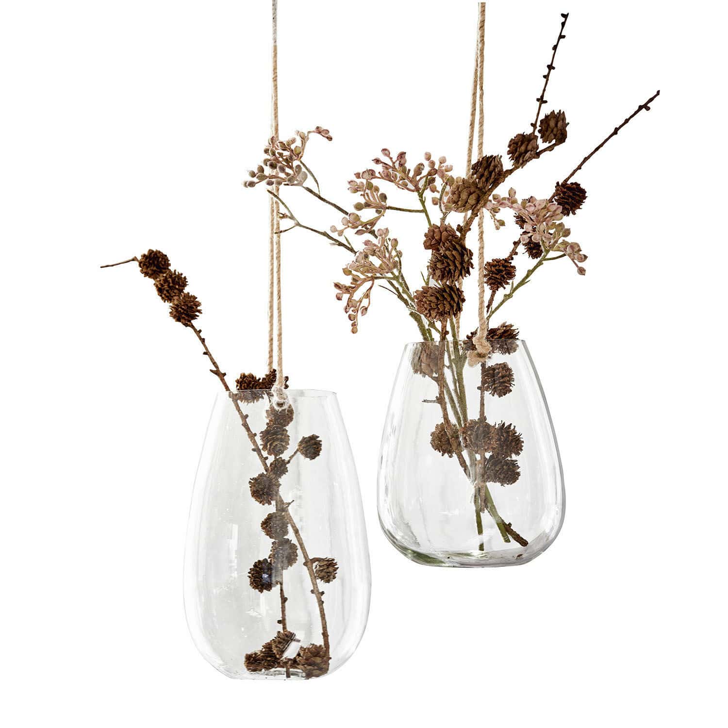 Ensemble de deux vases suspendus en verre transparent avec branches naturelles et corde décorative