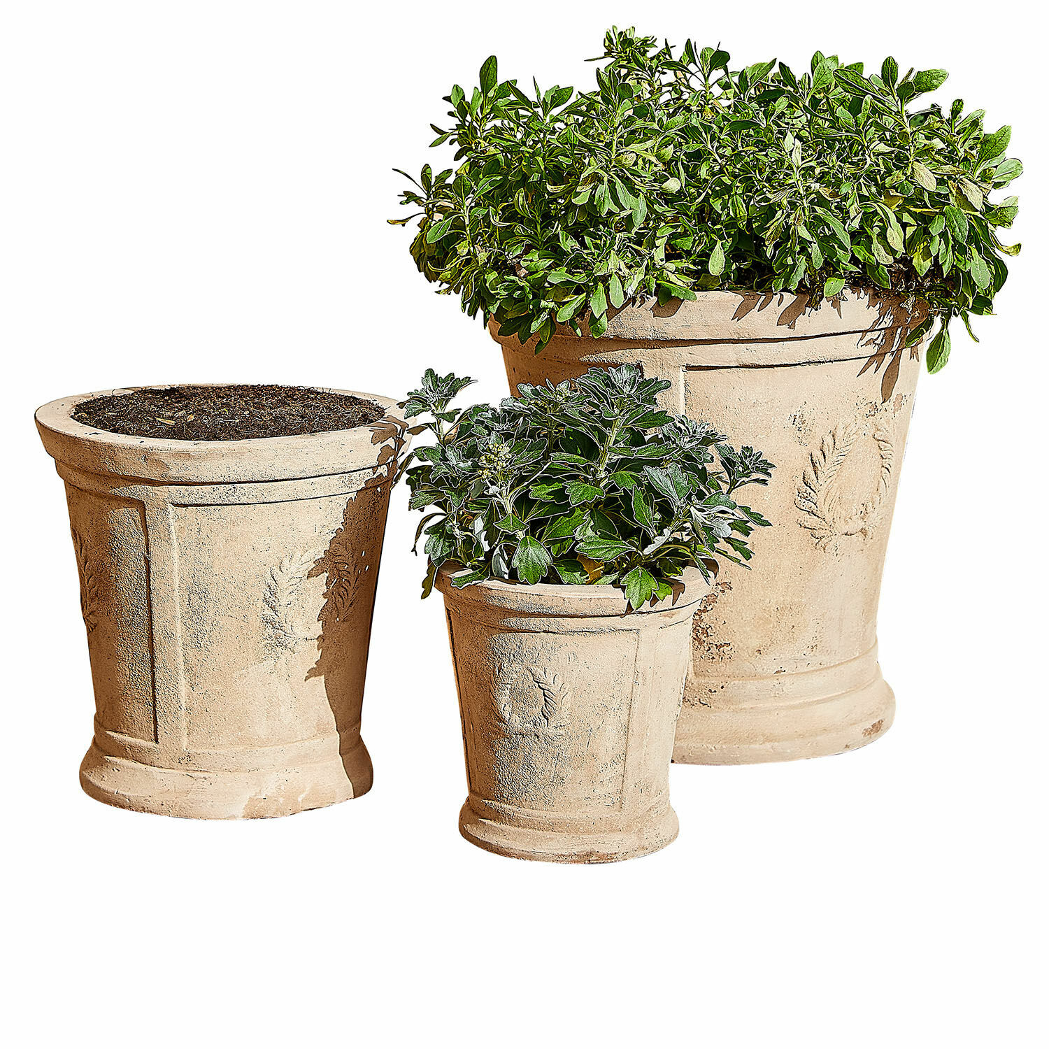 Sierpot set van 3 Nesrin Set van drie beige terracotta bloempotten met planten, perfect voor tuin en interieurdecoratie