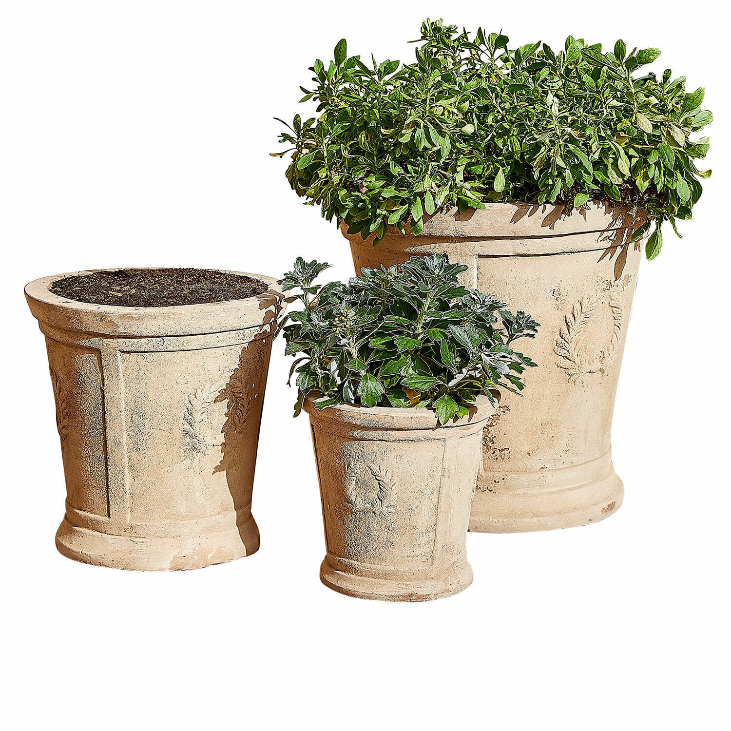 Sierpot set van 3 Nesrin Set van drie beige terracotta bloempotten met planten, perfect voor tuin en interieurdecoratie
