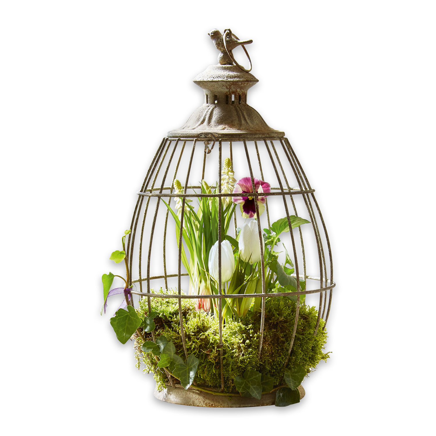 Lantaarn Morena Decoratieve metalen kooi met vogel, groen mos en bloemen binnenin, woondecoratie