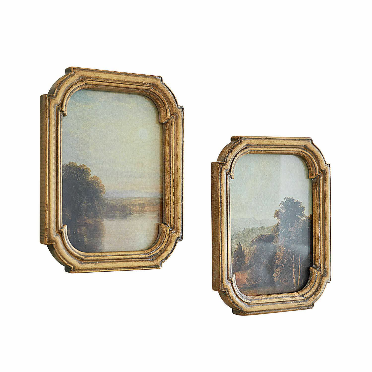 Schilderij set van 2 Fleuroix