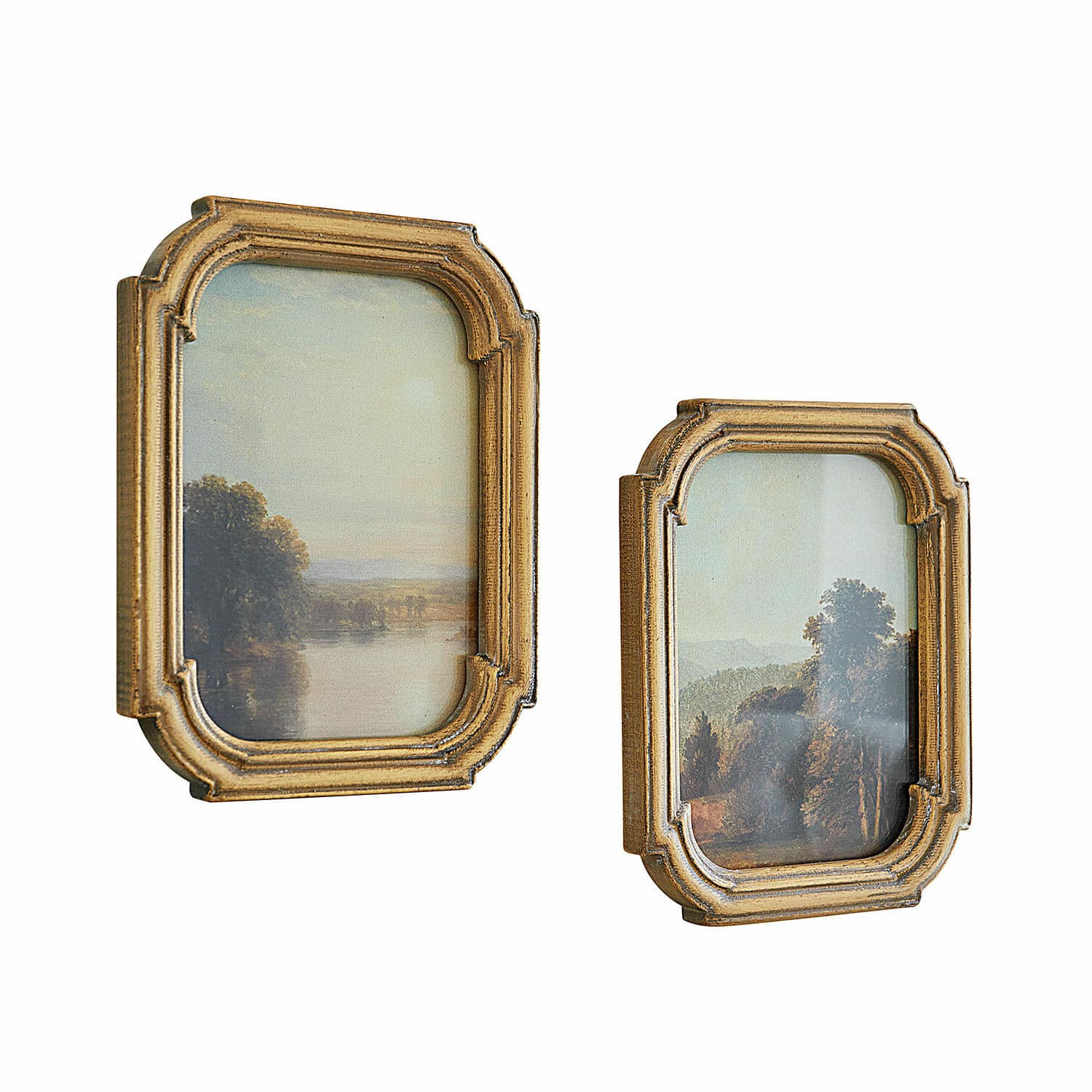 Lot de 2 tableaux Fleuroix