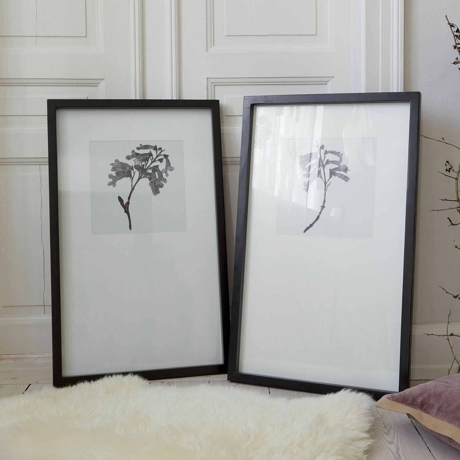 Afbeelding set van 2 Virelune Twee zwarte lijsten met glas en minimalistische plantenafbeeldingen op lichte achtergrond op een bontkleed