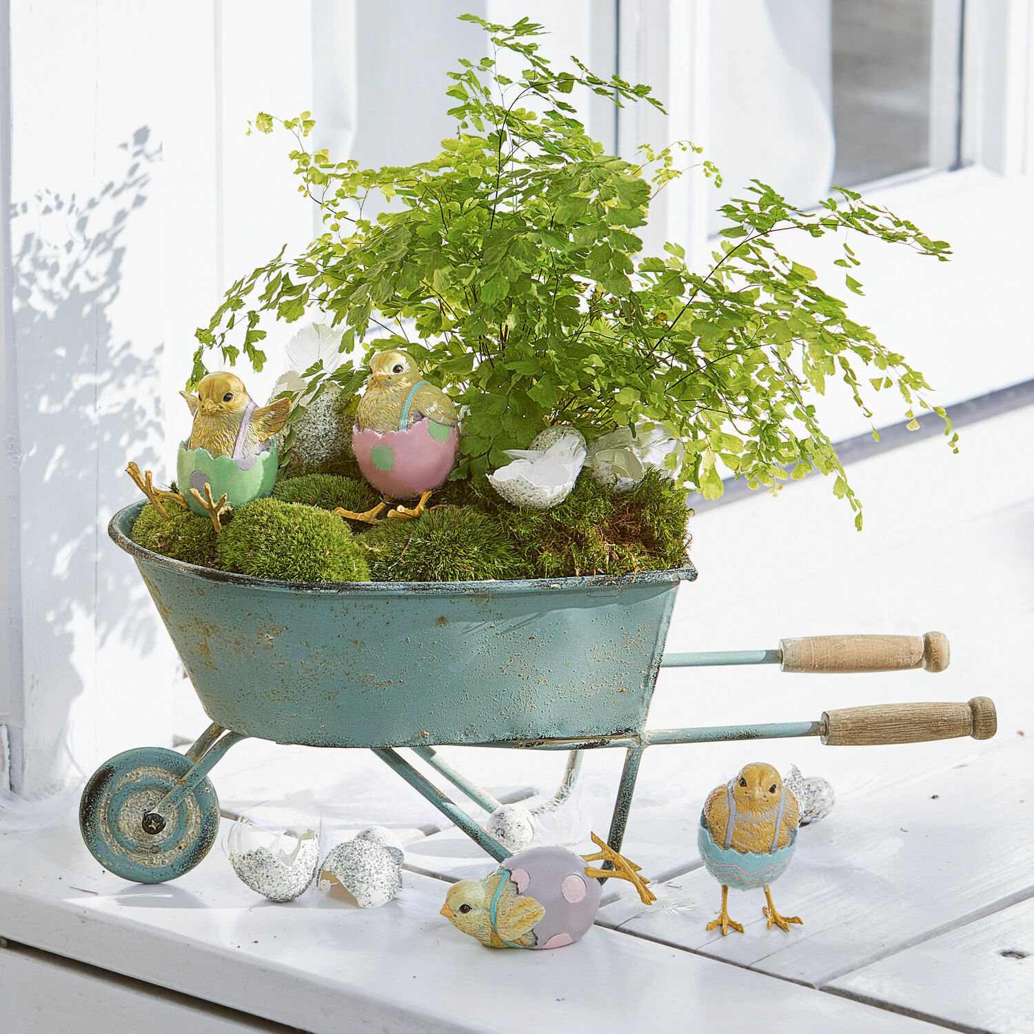 Lot de 4 poussins Persienne