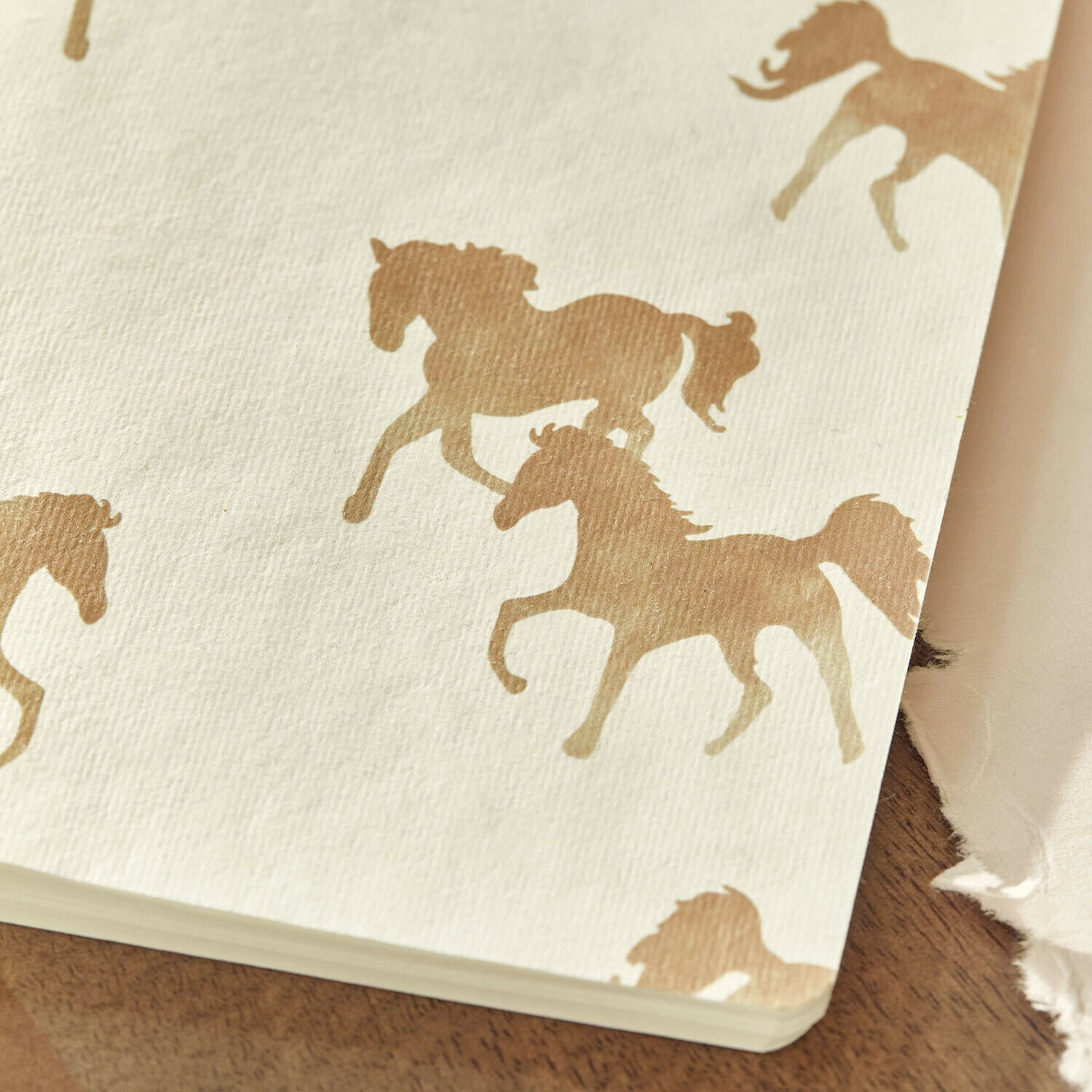 Lot de 2 carnets Windermay