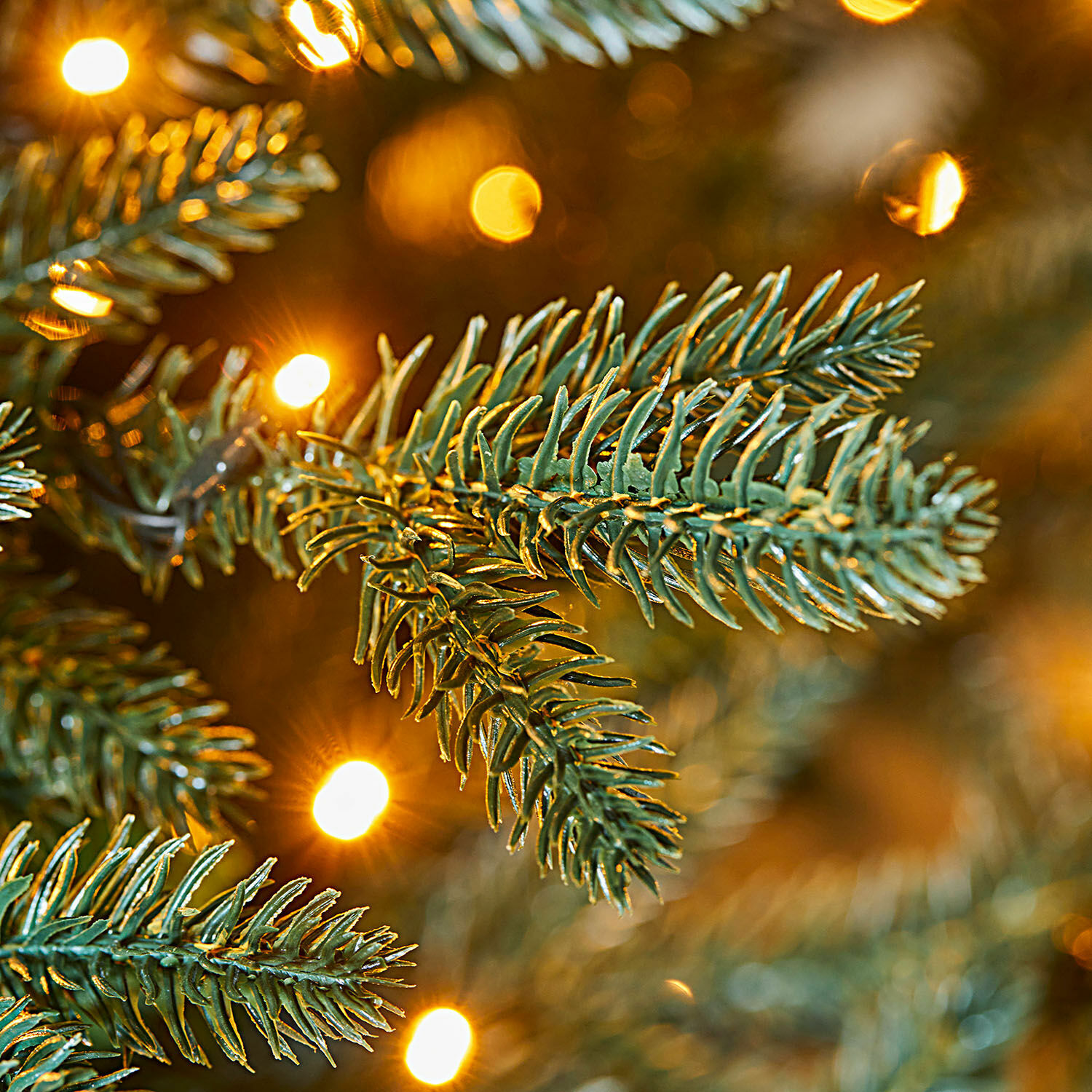 Kerstboom Franck