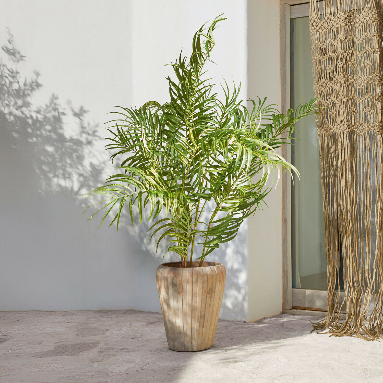 Hoge houten bloempot in natuurlijke kleur met groene palmplant tegen lichte achtergrond