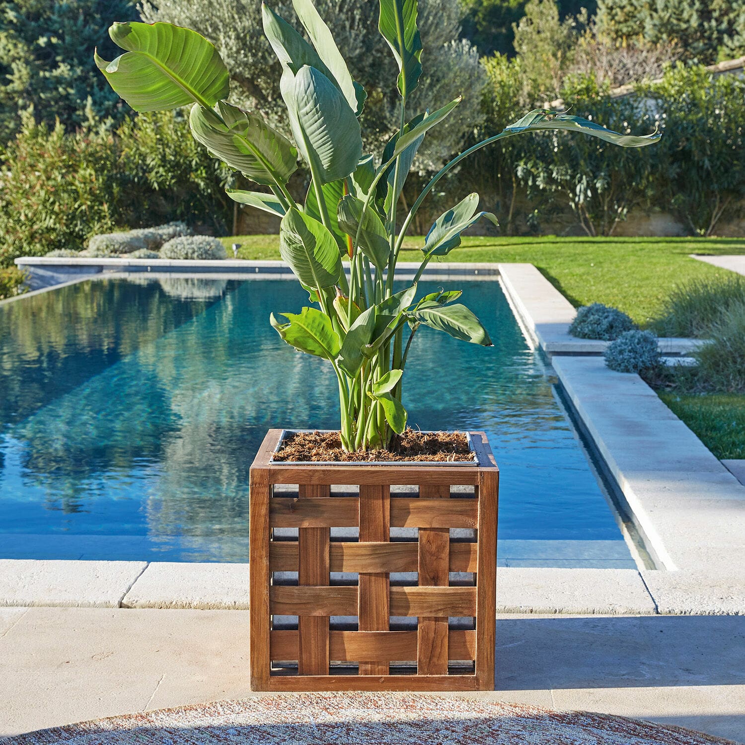 Cache-pot Henry