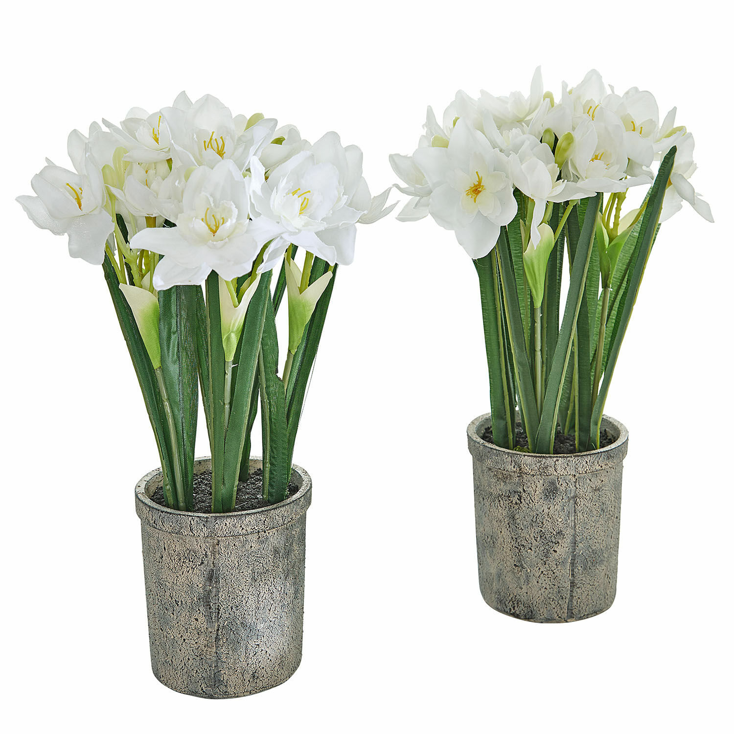 Sierbloem set van 2 Soralen