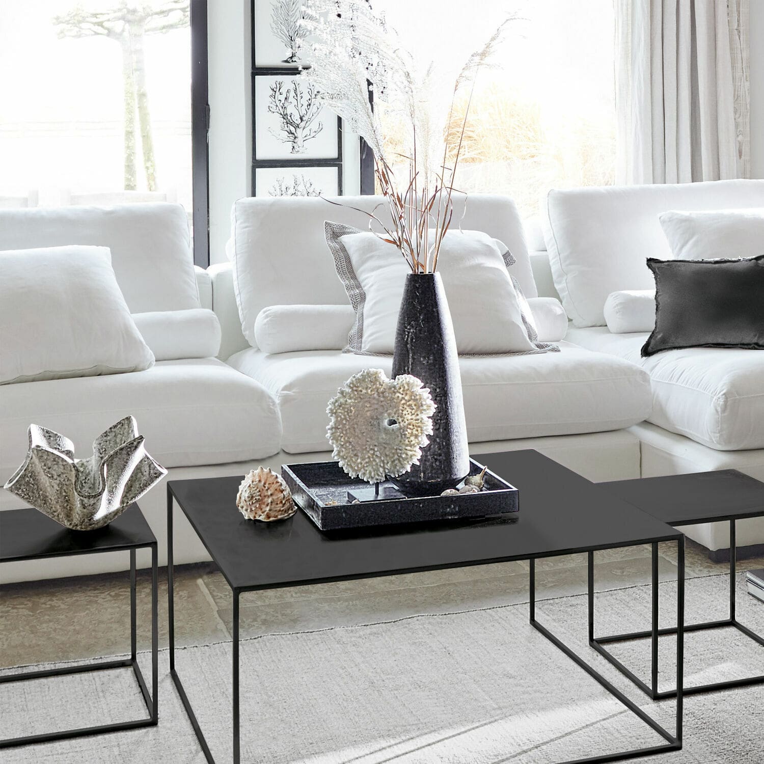 Corail décoratif Condière