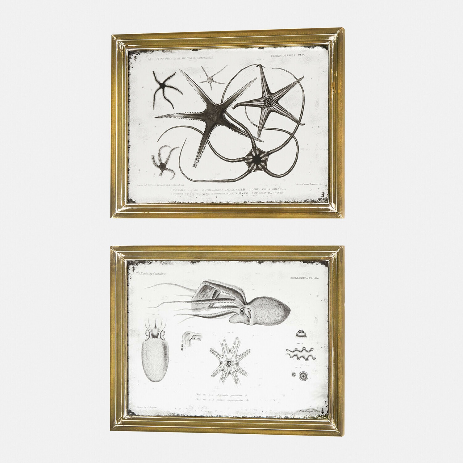 Lot de 2 miroirs à motifs Marivelles Deux cadres dorés avec gravures marines en noir et blanc, décoration murale vintage élégante