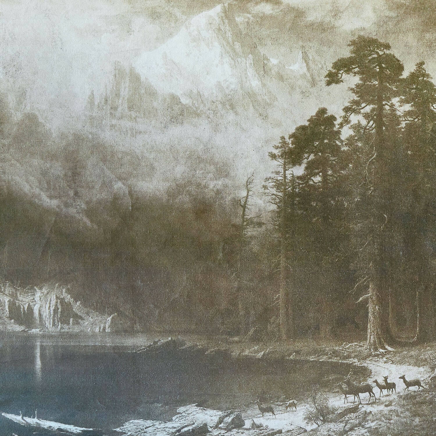 Afbeelding Belle Horizon