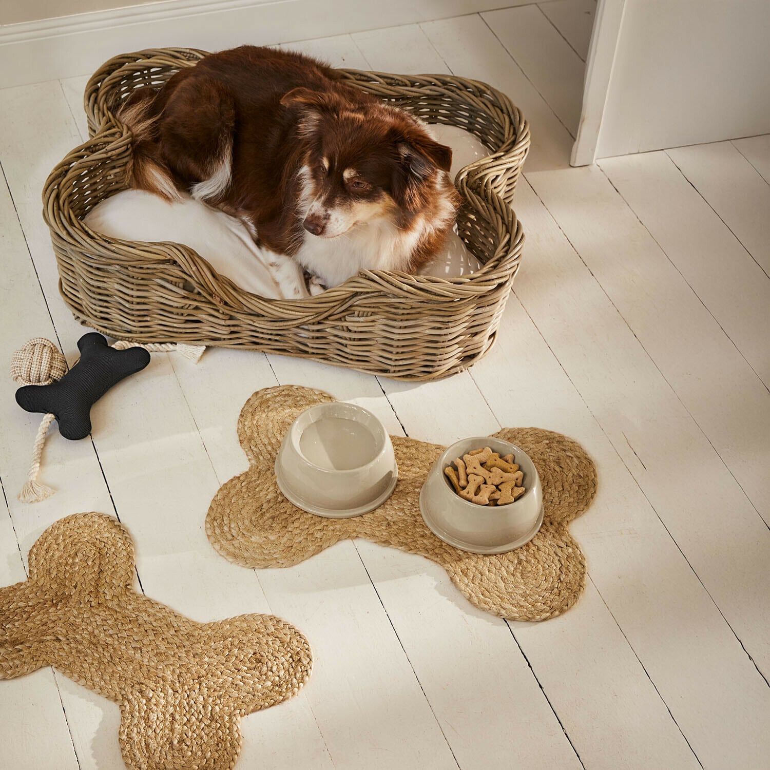 Lot de 2 gamelles Kireva