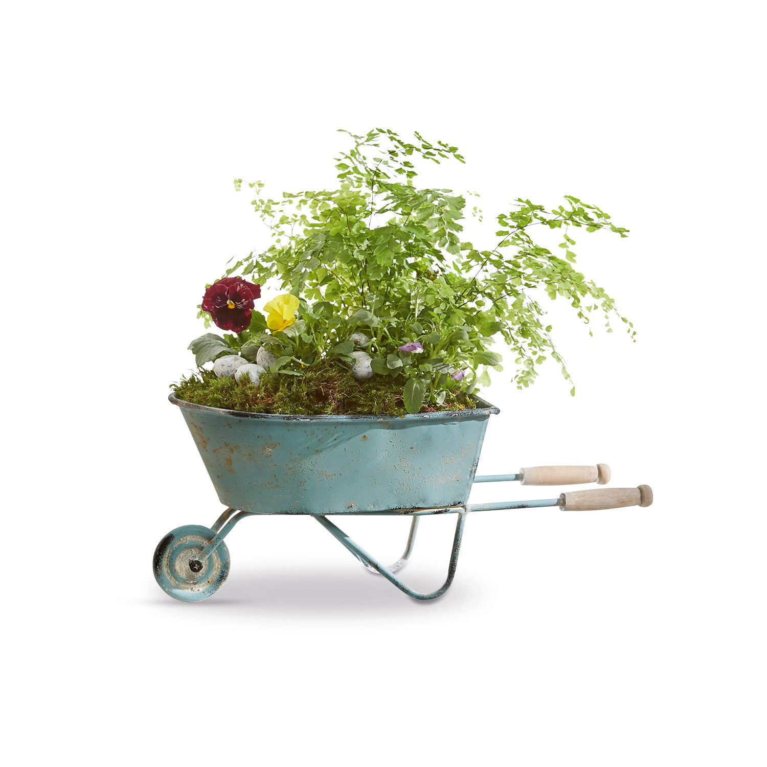 Decoratieve kruiwagen Morla Blauwe metalen kruiwagen met houten handvatten, gevuld met groene planten en bloemen voor tuindecoratie