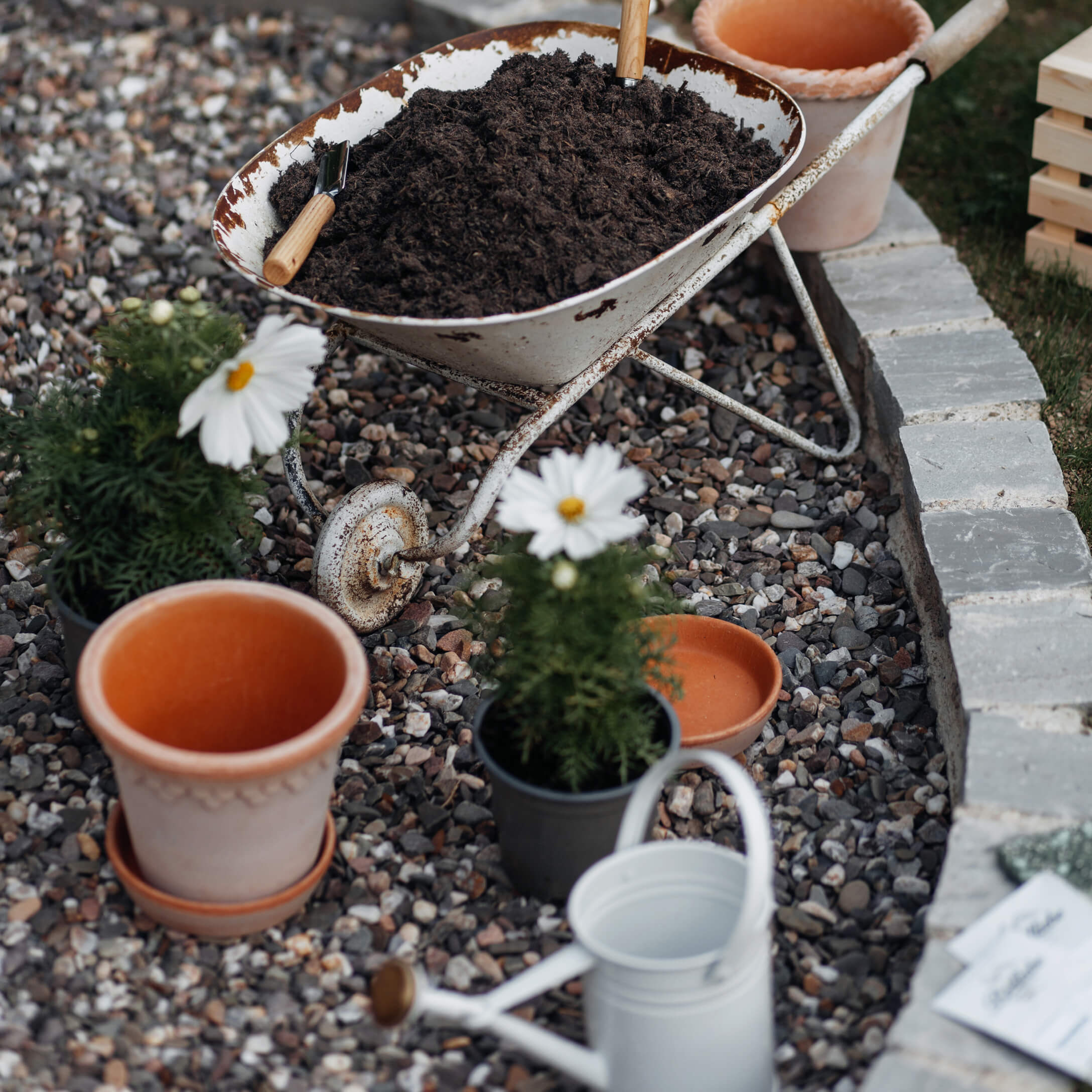 Brouette blanche ancienne remplie de terre sur un sol de gravier avec pots et arrosoir