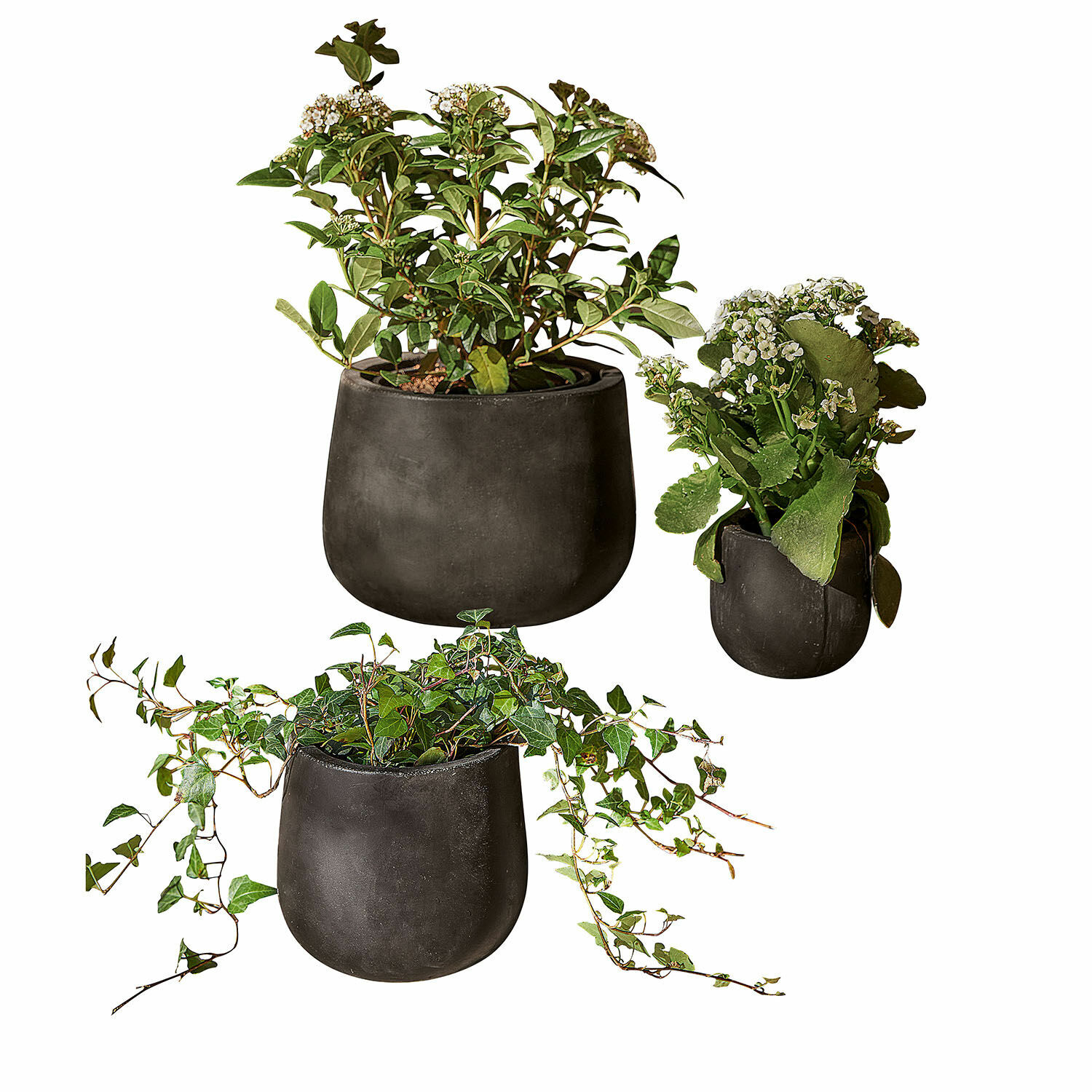 Set van 3 zwarte matte Sunvale bloempotten met groene planten voor moderne interieurdecoratie