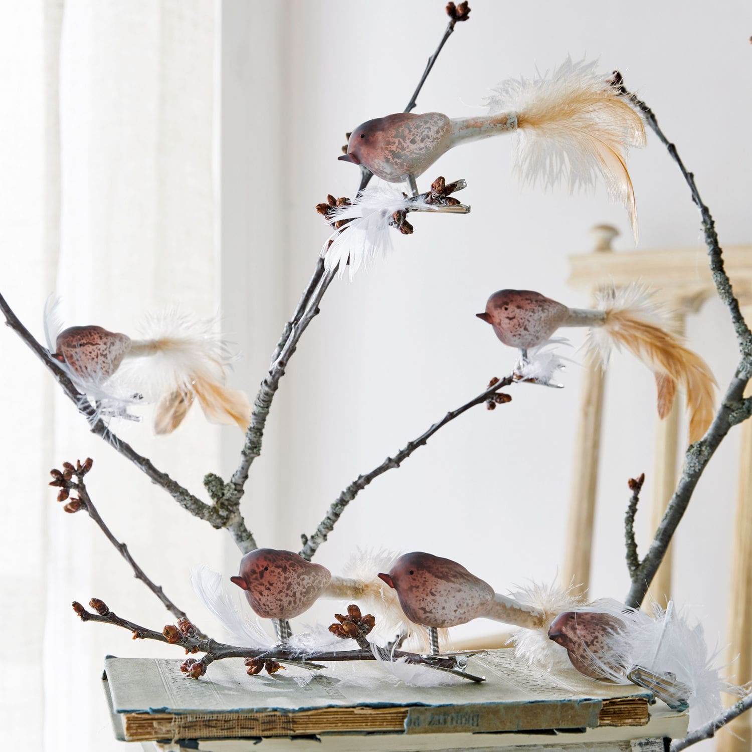 Vogel set van 6 Ceallach