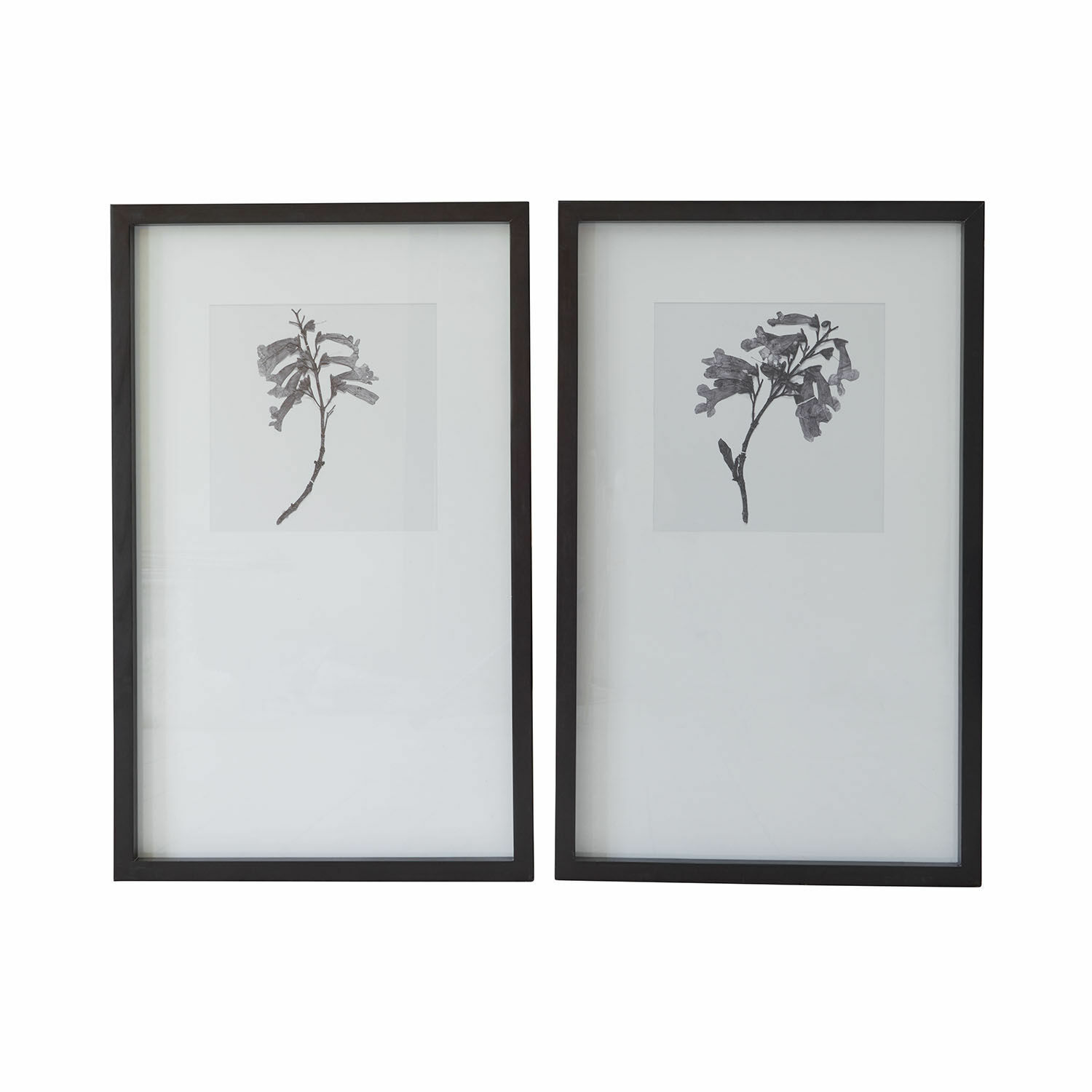 Afbeelding set van 2 Virelune Set van twee zwarte lijsten met grijze bloemenafbeeldingen op witte achtergrond, wanddecoratie