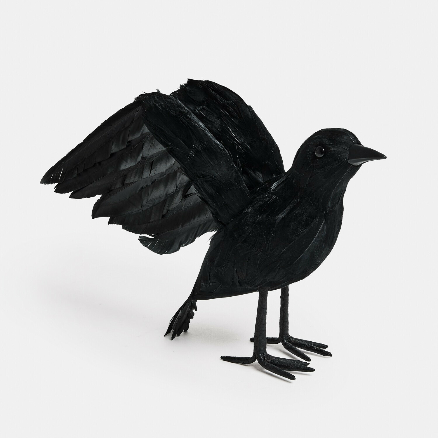 Decoratieve vogel Faelron