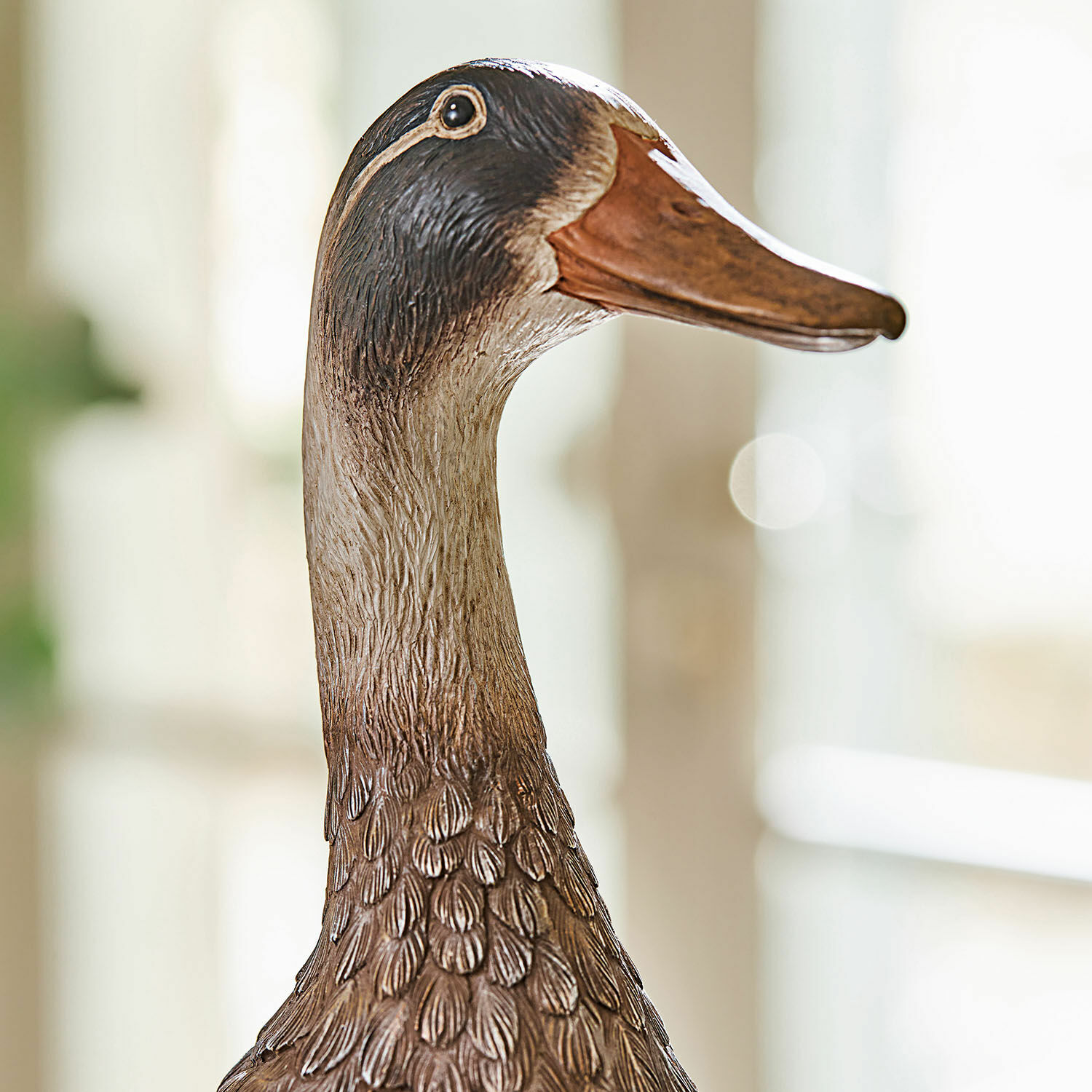 Lot de 5 canetons et un canard Levevre