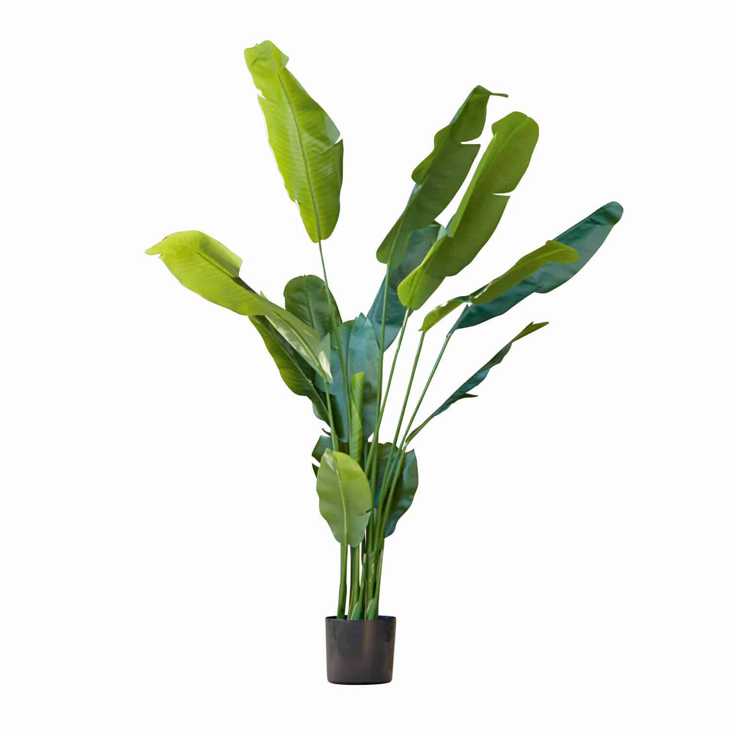 Sierplant Lennidas Kunstmatige bananenplant met groene bladeren in zwarte pot voor interieurdecoratie